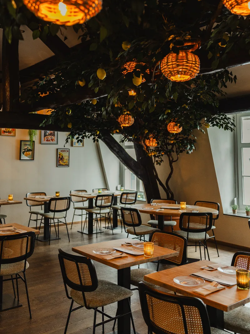 Bar Oliva / Sala de Limón