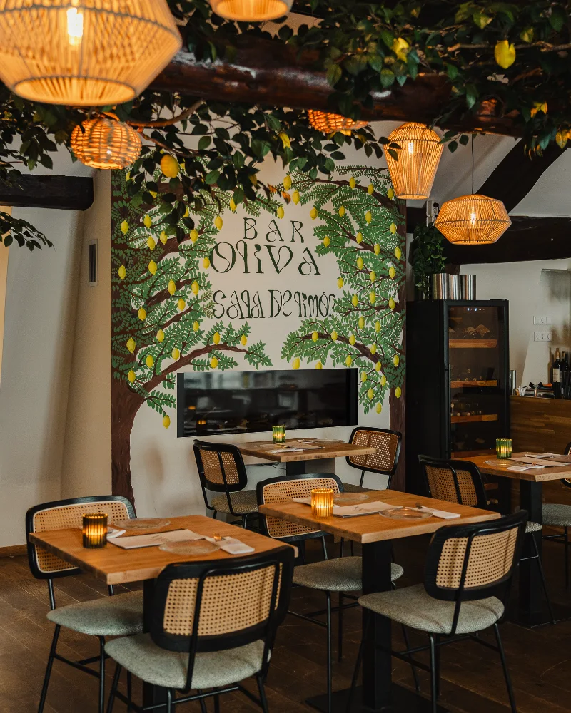 Bar Oliva / Sala de Limón